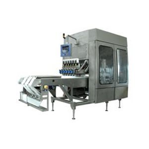 Riempitrice / imballatrice per gelati - GMW - Gram Equipment