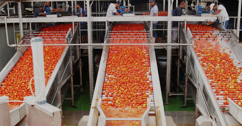 Smistatore per l'industria agroalimentare - FBR-ELPO - ottico / automatico / per pomodori