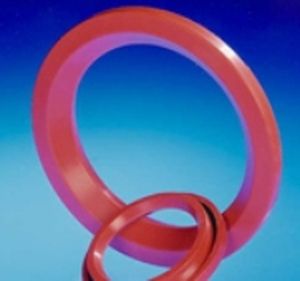 Guarnizione torica - James Walker - in elastomero / gonfiabile