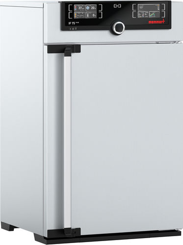 Incubatore da laboratorio - IF75m - Memmert GmbH + Co. KG - a convezione forzata / digitale