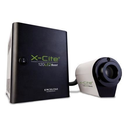 Fonte di luce LED - Excelitas Technologies - PCO - visibile / di alta potenza / con matrice di LED