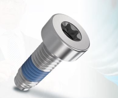 Vite di sicurezza - ThreadLoc - Arnold Umformtechnik GmbH & Co. KG - di assemblaggio / a testa cilindrica