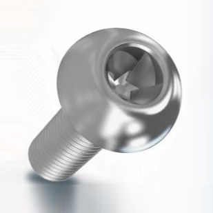 Vite di sicurezza - LocTec® - Arnold Umformtechnik GmbH & Co. KG - a testa cilindrica bombata / autobloccante