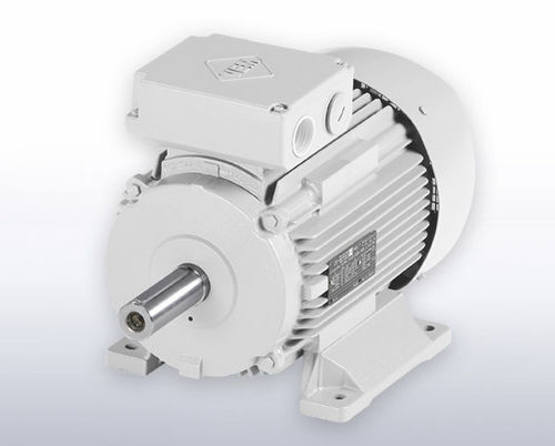 Motore asincrono - VEM motors - AC / IP55 / IP65