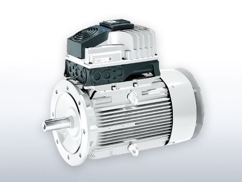 Motore asincrono - VEMoDRIVE - VEM motors - AC / 380 V / a gabbia di scoiattolo