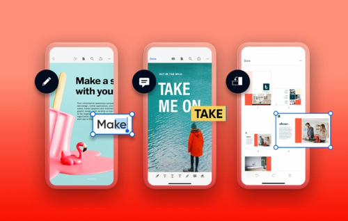 Applicazione mobile per il commercio elettronico - Mobile - ADOBE - in linea