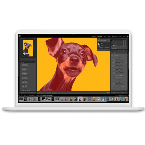 Software di regolazione - Lightroom Classic - ADOBE - di editoria / di immagine / di colore