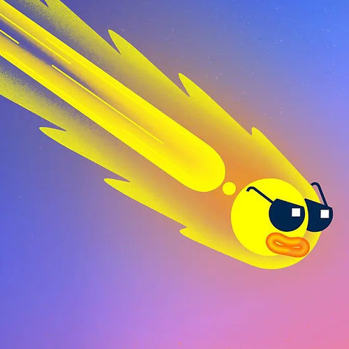 Software di creazione - Animate - ADOBE - di progettazione / di animazione / di realtà aumentata