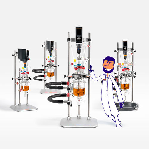 Reattore con agitazione meccanica (STR) - Reactor-Ready™ Flex - Radleys - da laboratorio / di processo / modulare