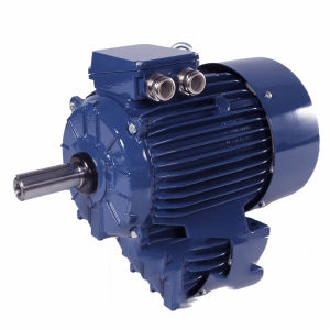 Motore a più velocità - PSg132M-4/2 - Cantoni Motor - ad induzione / trifase / 400 V