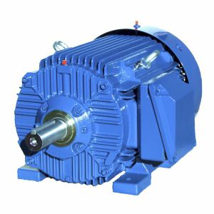 Motore ad induzione - SIE447T4B - Cantoni Motor - trifase / 460 V / in ghisa
