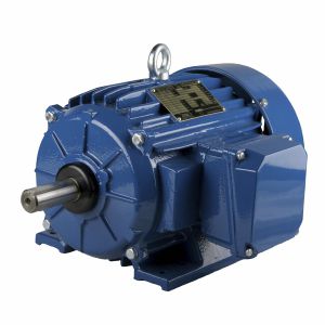 Motore NEMA - ESg145T-4A - Cantoni Motor - ad induzione / trifase / 460 V