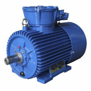 Motore sincrono - dSg100L4A - Cantoni Motor - trifase / 1000 V / in ghisa