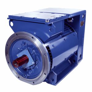 Motore sincrono - 3SGf250M2B-E - Cantoni Motor - trifase / 500 V / con rotore a gabbia di scoiattolo