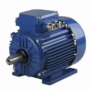 Motore sincrono - ExSh56-2A T3 - Cantoni Motor - trifase / 400 V / in alluminio