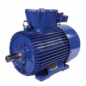 Motore sincrono - (E)CSg(b)80-2A - Cantoni Motor - trifase / 400 V / a gabbia di scoiattolo