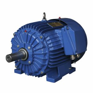 Motore sincrono - ExSg112M-6-2G T4/2D - Cantoni Motor - trifase / 400 V / in alluminio