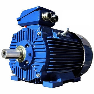 Motore ad induzione - 3SIE100L4A - Cantoni Motor - AC / 400 V / 380 V