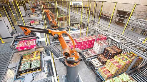 Pallettizzatore e depallettizzatore robotizzato - AMCAP - DEMATIC - a strati / per pallet / di casse