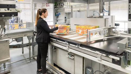 Pallettizzatore per pacchetti - DEMATIC - di pallets / per derrate alimentari / di convogliamento