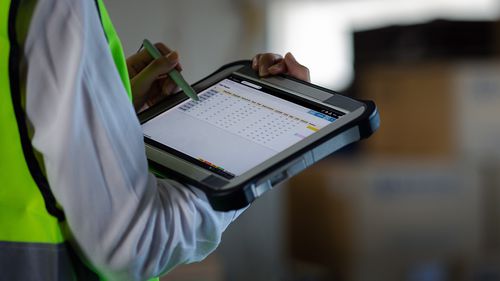 Software di automatizzazione - WES - DEMATIC - di gestione dei magazzini WMS / di pianificazione / di scorrimento
