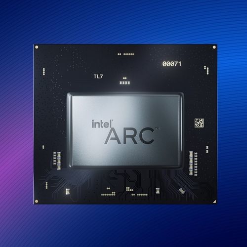 Scheda grafica tipo-A - Arc™  - Intel - Intel HD Graphics / Linux® Ubuntu™ / Windows 10