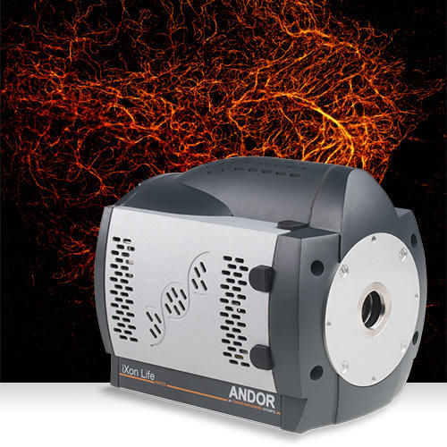 Telecamera digitale - iXon Life - Andor Technology - per applicazioni scientifiche / di rilevazione / visibile