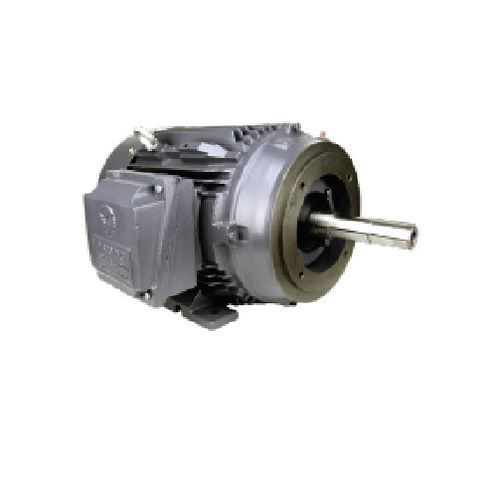 Motore ad induzione - GR3-AL-TF Series - Techtop - AC / 380 V / in acciaio inossidabile