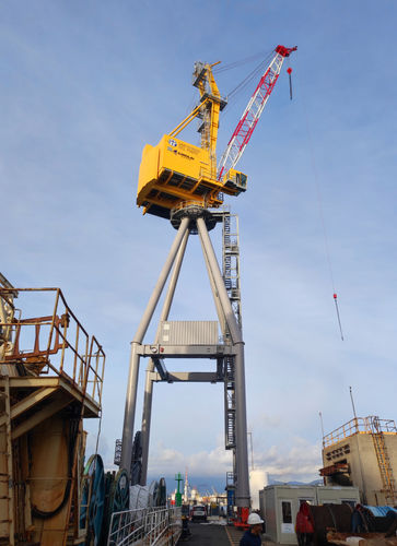 Gru su guida di scorrimento - RBC 30 - CIMOLAI TECHNOLOGY - con braccio / per applicazioni marine / di sollevamento