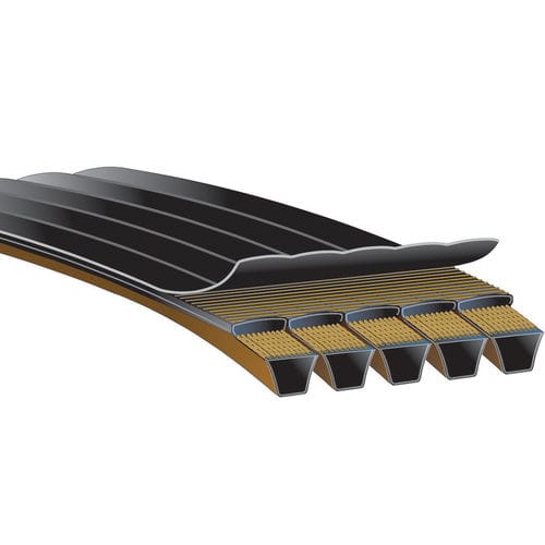 Cinghia a fascia - PREDATOR® POWERBAND® - Gates - trapezoidale / a V / per puleggia