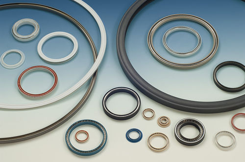 Guarnizione a molla - DANAFLEX® - REPACK-S - in termoplastica / circolare / a effetto semplice