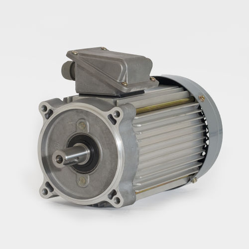 Motore ad induzione - Chuan-Fan Electric - a 3 fasi / 220 V / 380 V