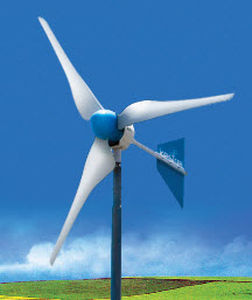 Piccola turbina eolica - 800 W | e230i - Eveready Diversified Products