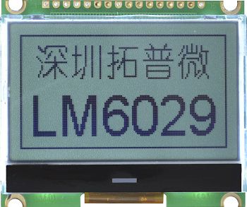 Modulo di visualizzazione LCD - LM6029ACW-A - TOPWAY LCD - grafico / monocromatico / a matrice di punti