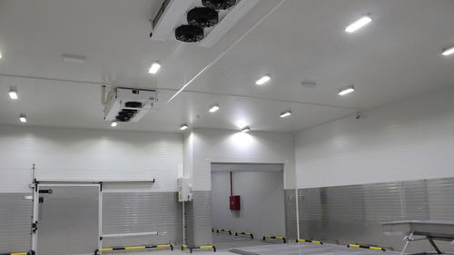 Dispositivo di illuminazione luce - CANTEK Cold Storage - Meat Processing - LED / fluorescente