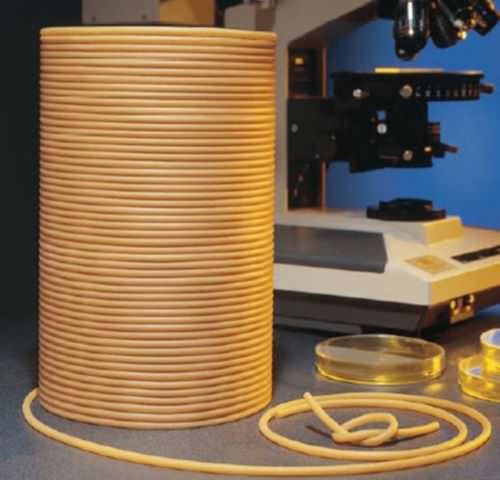 Tubo flessibile per prodotti alimentari - Versilon™ GA  - Saint-Gobain Performance Plastics - Process System - in gomma naturale / per trasferimento / di pulizia