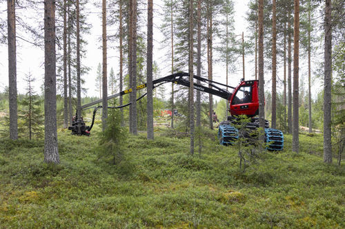 Abbattitrice forestale gommata - 901XC-7 - KOMATSU Forest