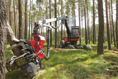 Abbattitrice forestale gommata - 901 - KOMATSU Forest