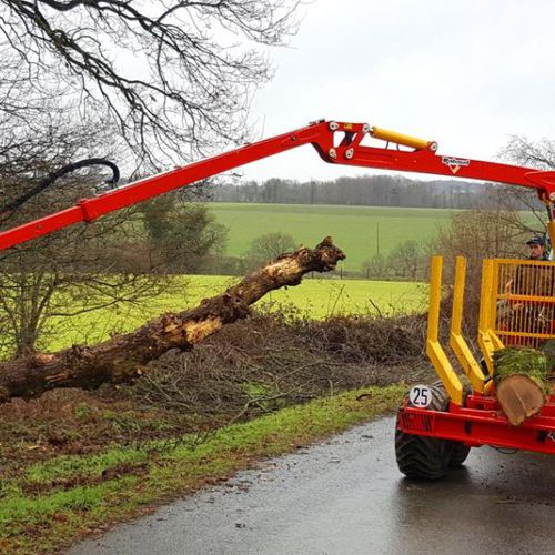 Braccio articolato per abbattitrice forestale - XYLOGRUE - RABAUD