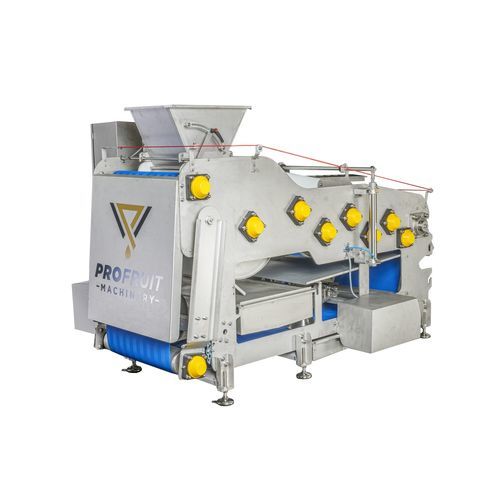 Pressa a nastro per frutta - POWERPRESS 800 - ProFruit Machinery - per l'industria agroalimentare