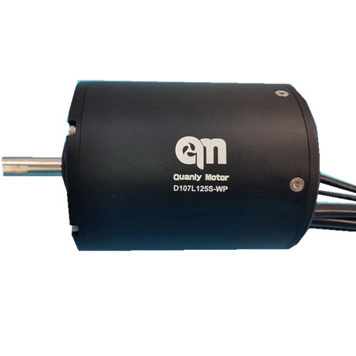 Motore BLCD - D107L125-WP - Dongguan Tengfei Power Technology Co., Ltd. - DC / 20 V / 80 V