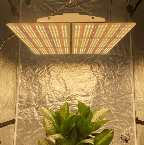 Dispositivo di illuminazione a soffitto - PG02  - Hishine Group Limited - LED / per serra