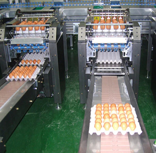 Lavatrice agroalimentare per uova - Shanghai Genyond Technology Co Ltd - automatica / a nastro / a spruzzo
