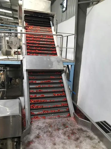 Linea di trasformazione per pomodori - Shanghai Genyond Technology Co Ltd - di lavaggio / di spietramento / per cernita
