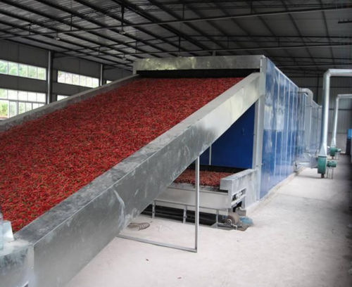 Linea di produzione per frutta secca - Shanghai Genyond Technology Co Ltd - automatica / modulare / flessibile