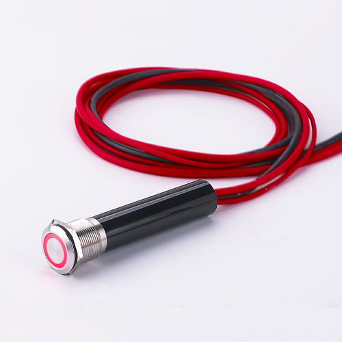 Interruttore antivandalo - L19Y - YUEQING DANPU ELECTRIC ( LANGIR ) CO.,LTD. - tattile / unipolare / rinforzato