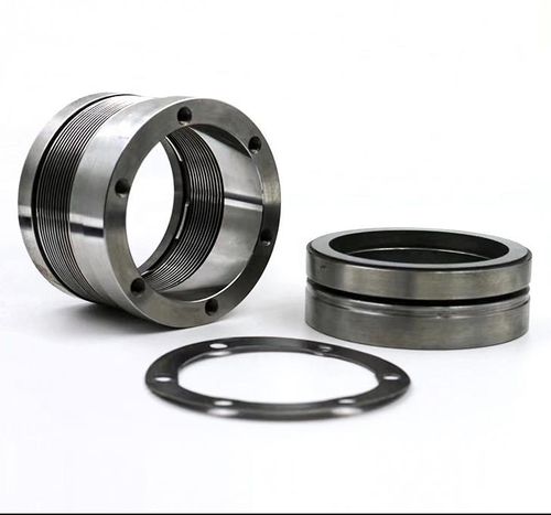 guarnizione a molla - SHIJIAZHUANG RUISUO SEAL SUPPLIES CO.,LTD