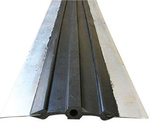 Fascia di guarnizione a labbro - SHIJIAZHUANG RUISUO SEAL SUPPLIES CO.,LTD - in rame / acciaio / in acciaio inossidabile