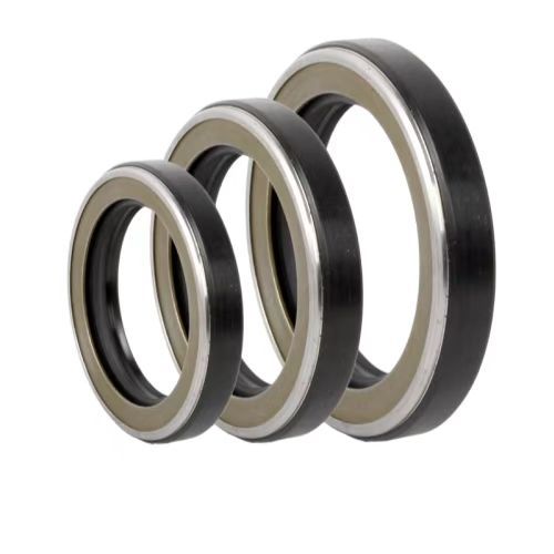 Guarnizione a labbro - SHIJIAZHUANG RUISUO SEAL SUPPLIES CO.,LTD - in termoplastica / sintetica / circolare