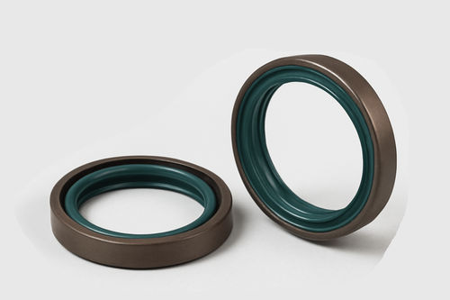 Guarnizione a labbro - SHIJIAZHUANG RUISUO SEAL SUPPLIES CO.,LTD - in gomma / in FKM / circolare
